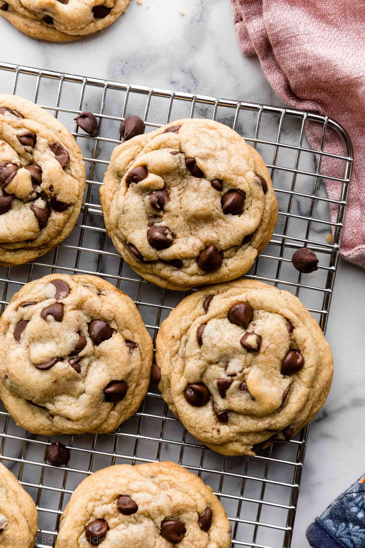 Chocolate Chip Cookie Recipe