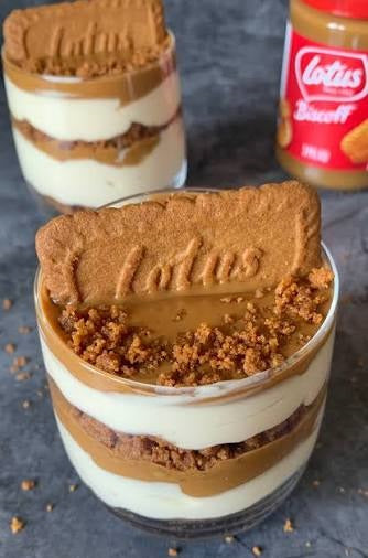 Yogurt Biscoff Cheesecake/Tiramisu