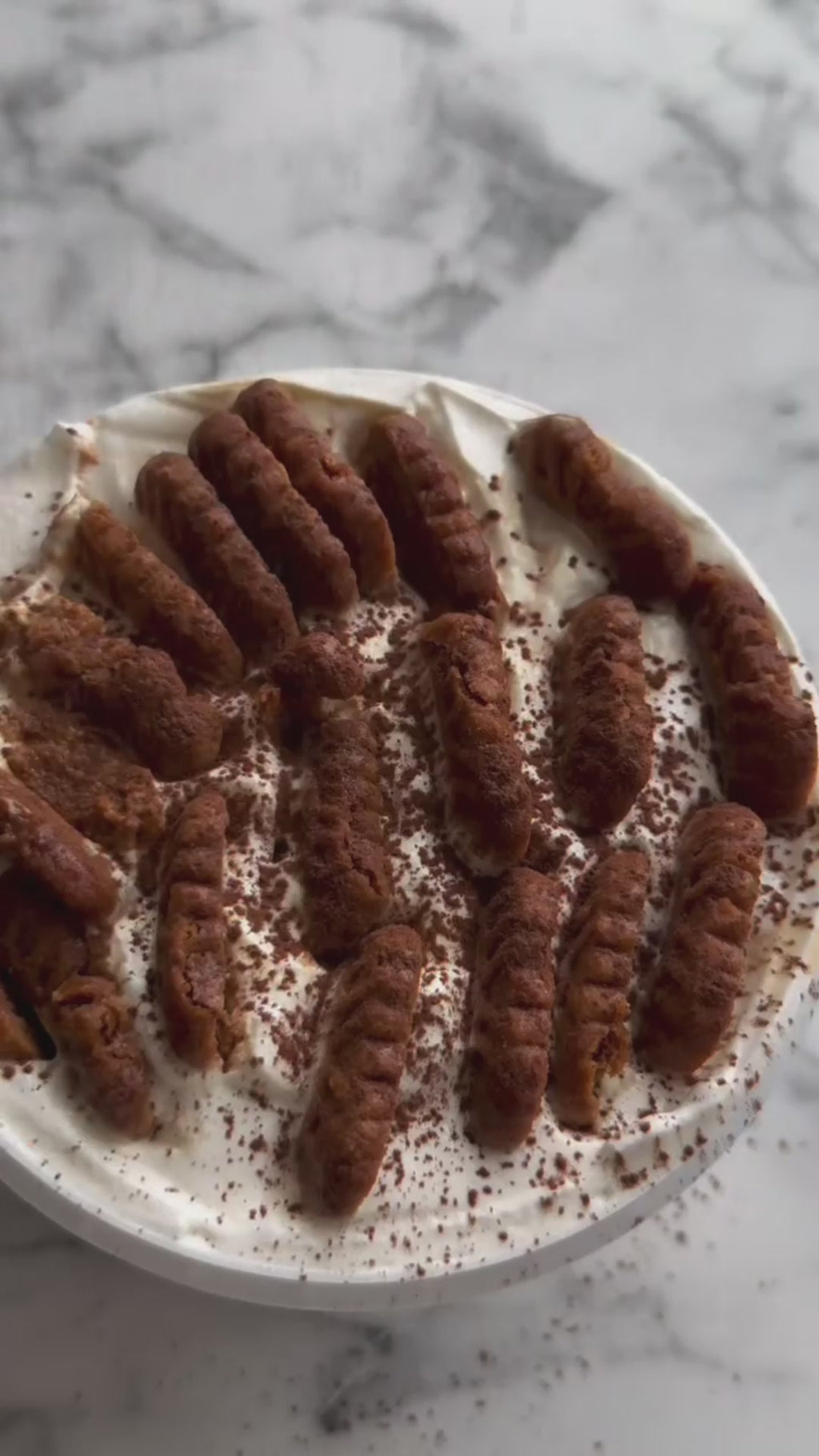 Yogurt Biscoff Cheesecake/Tiramisu